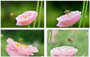 短视频拍摄手法有哪些?短视频拍摄技巧有哪些?