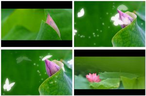 抖音剪映怎么为短视频添加酷炫的特效?图文教程